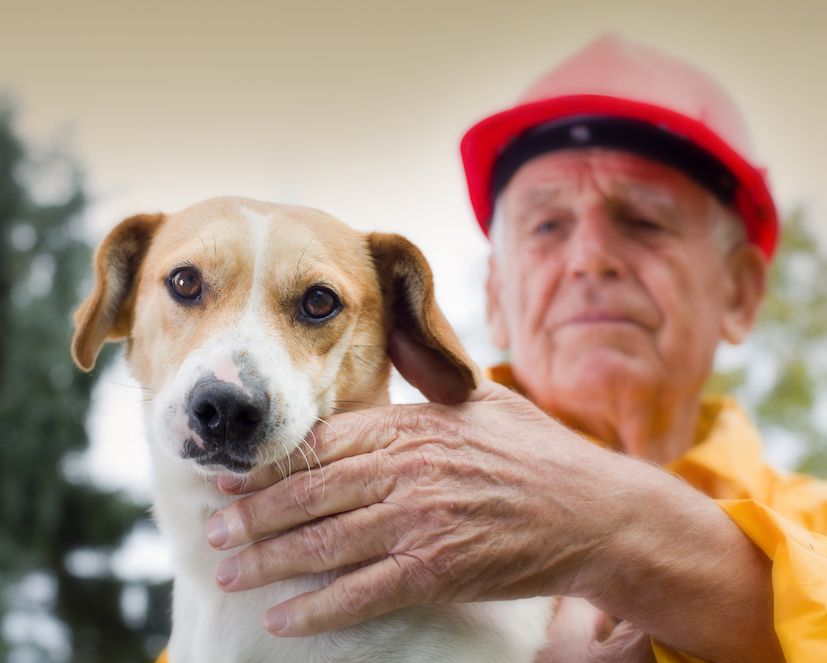 Preparing for Disaster